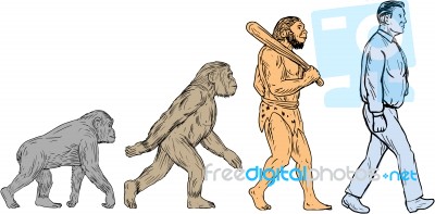 Human Evolution Walking Drawing Stock Image