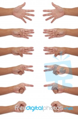 Human Hand Gestures Stock Photo