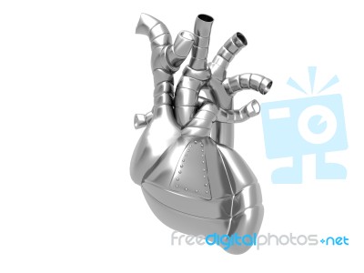 Human Heart Stock Image