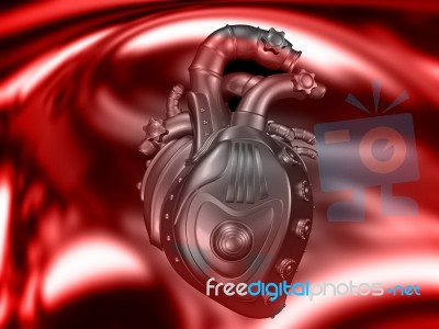 Human Heart  Stock Image