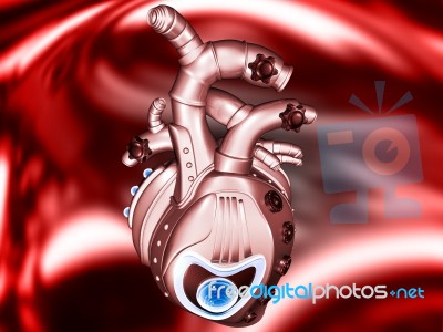 Human Heart  Stock Image