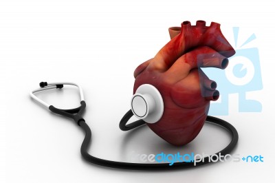 Human Heart And Stethoscope Stock Image