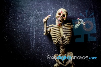 Human Skeleton Stock Photo