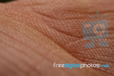 Human Skin Stock Photo