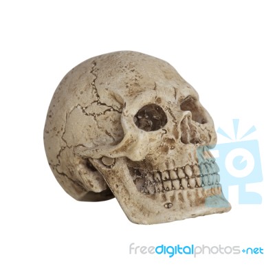 Human Skull Isolate On White Background Stock Photo