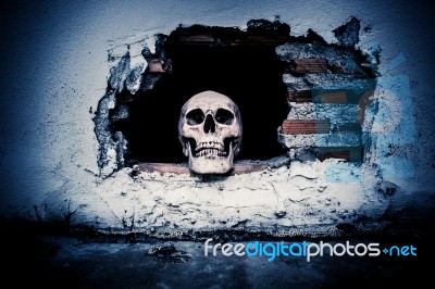 Human Skull On Breaking Concrete Wall In Abandoned House Stock Photo