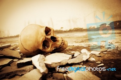 Human Skull On Ruins Place Stock Photo