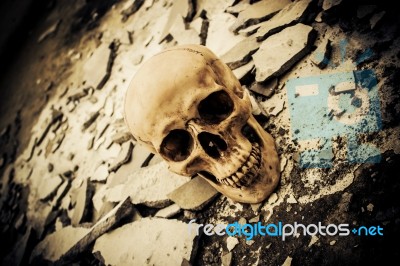 Human Skull On Ruins Place Stock Photo