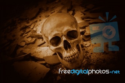 Human Skull On Ruins Place Stock Photo