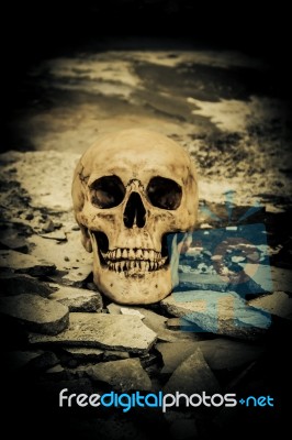 Human Skull On Ruins Place Stock Photo