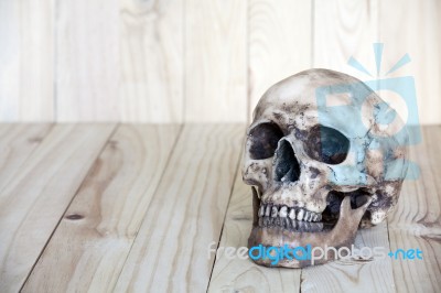 Human Skull On Wood Background Stock Photo