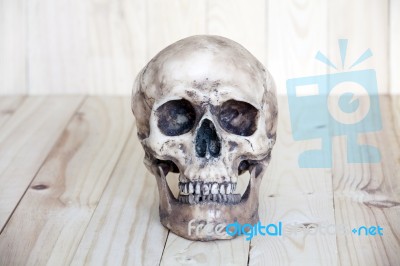 Human Skull On Wood Background Stock Photo