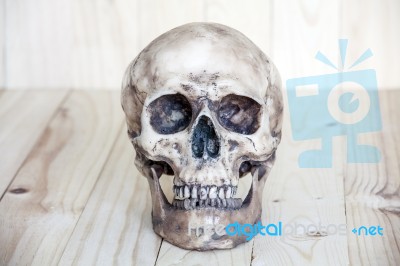 Human Skull On Wood Background Stock Photo