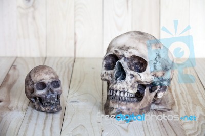 Human Skull On Wood Background Stock Photo