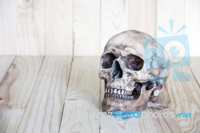 Human Skull On Wood Background Stock Photo