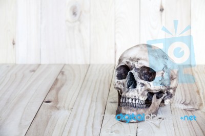 Human Skull On Wood Background Stock Photo