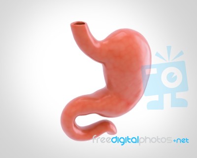 Human Stomach 3d Illustration In Digital Background Stock Image