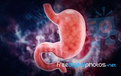 Human Stomach 3d Illustration In Digital Background Stock Image