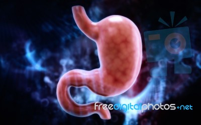 Human Stomach 3d Illustration In Digital Background Stock Image