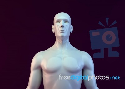 Humans 3D Body Stock Image