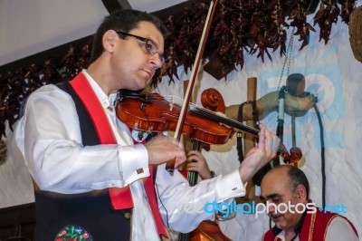 Hungarian Folk Night In Budapest Stock Photo