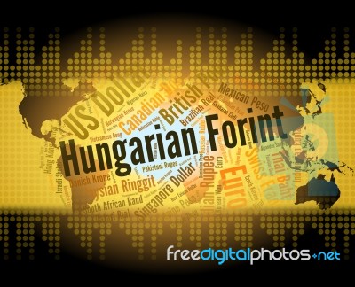 Hungarian Forint Shows Foreign Exchange And Broker Stock Image