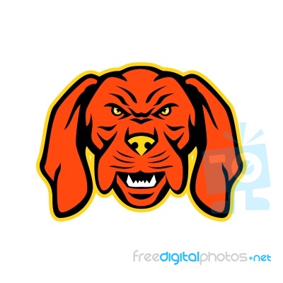 Hungarian Vizsla Dog Mascot Angry Stock Image