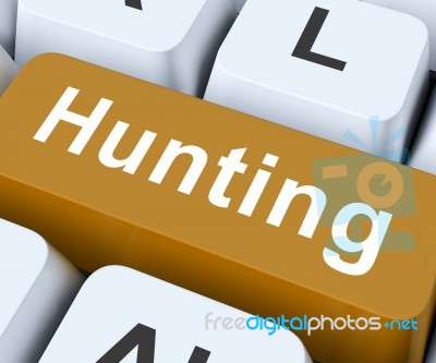 Hunting Key Means Exploration Or Searching
 Stock Image