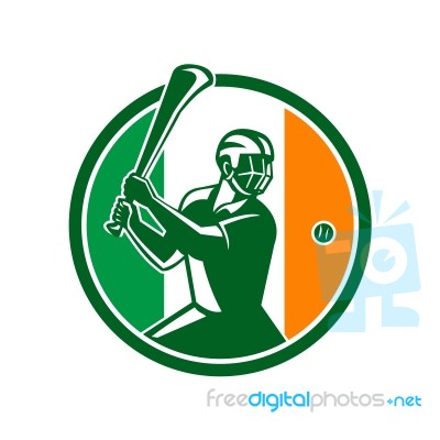 Hurling Ireland Flag Icon Stock Image