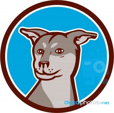 Husky Shar Pei Cross Dog Head Cartoon Stock Image