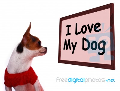 I Love My Dog Sign Stock Photo