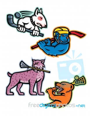 Ice Hockey And Lacrosse Sports Mascot Collection Stock Image