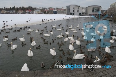 Iceland Stock Photo