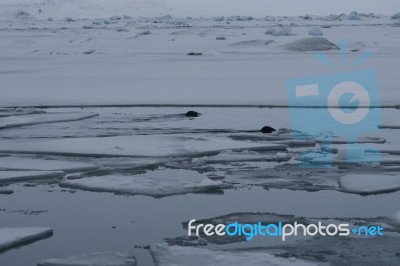 Iceland Stock Photo