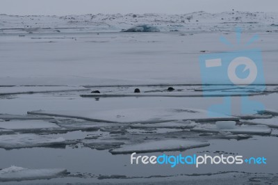 Iceland Stock Photo