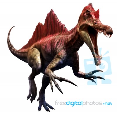 Ichthyovenator Stock Image