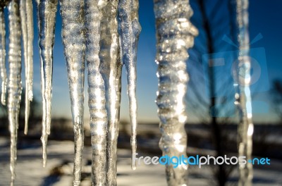 Icicle Stock Photo