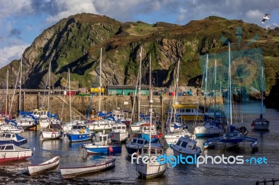 Ilfracombe, Devon/uk - October 19 : View Of Ilfracombe Harbour O… Stock Photo