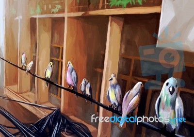 Illustration Digital Painting Birds Stock Image