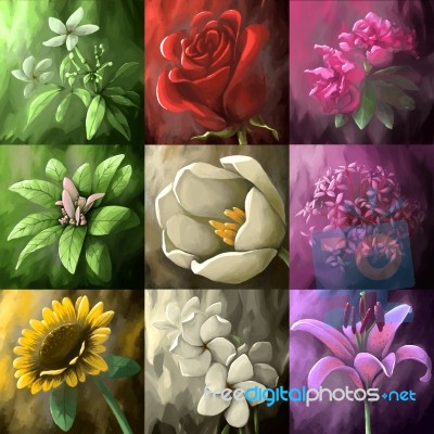 Illustration Digital Painting Flowers Stock Image