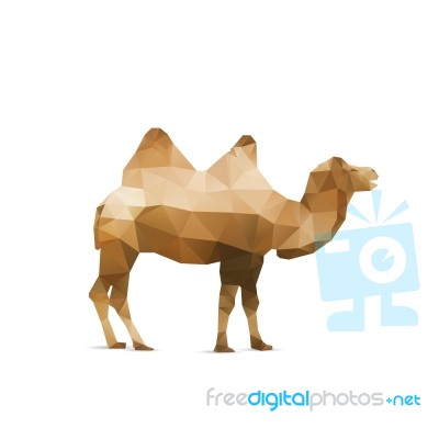 Illustration Of Abstract Origami Camel Isolated Stock Image