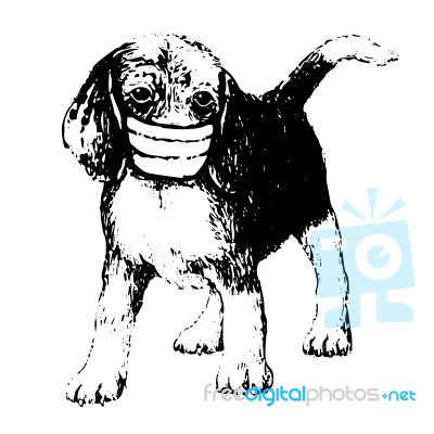 Illustration Of Beagle Dog With Mask Stock Image