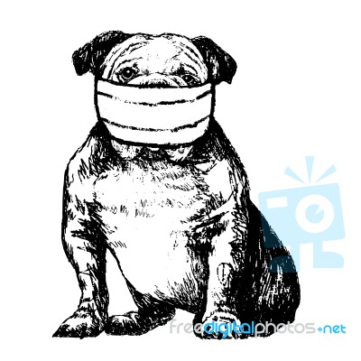 Illustration Of Bulldog With Mask Stock Image