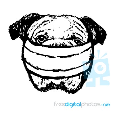 Illustration Of Bulldog With Mask Stock Image