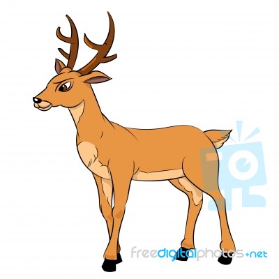 Illustration Of Deer Cartoon - Illustration Stock Image