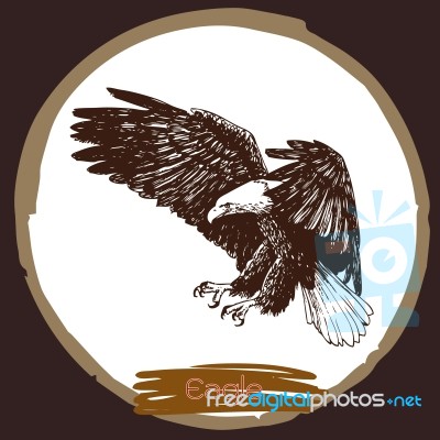 Illustration Of Eagle, Hawk Bird Stock Image