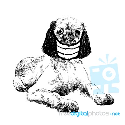 Illustration Of English Setter Dog With Mask Stock Image