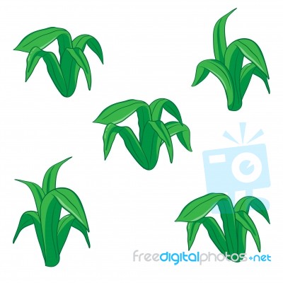 Illustration Of Green Floral,  Cartoon Stock Image