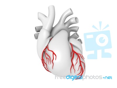 Illustration Of Heart, Medical Concept Stock Photo Stock Image