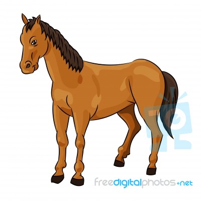 Illustration Of Horse -  Illustration Stock Image